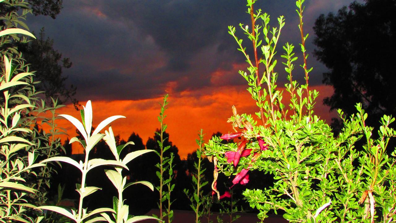 Titicaca Chaska Wasi Amantani Guest House Isla Amantani ภายนอก รูปภาพ